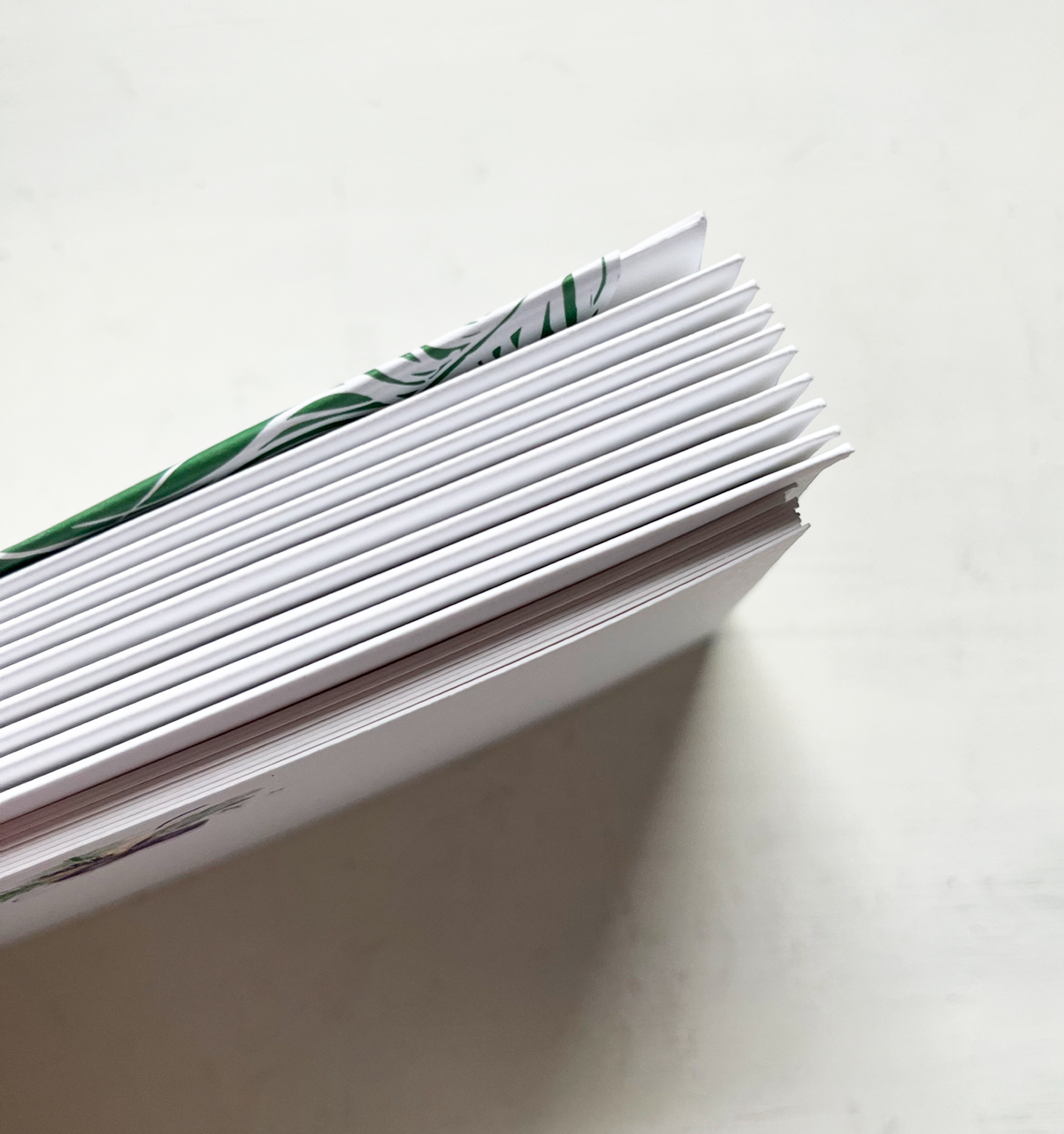 Mardi Mask Note Card Set of 10